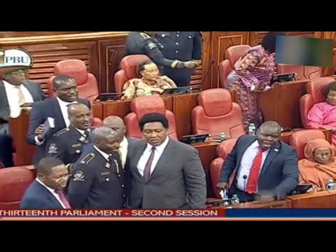 WAR ERUPTED AFTER SEN SIFUNA SLAPPED SEN KHALWALE FOR DEFENDING RUTO LIES IN SENATE