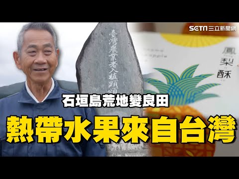南島熱帶水果來自台灣！台移民拓荒日本離島 將荒地變良田改變產業風貌 台裔子孫賣水果年收千萬台幣｜消失的國界｜94要賺錢