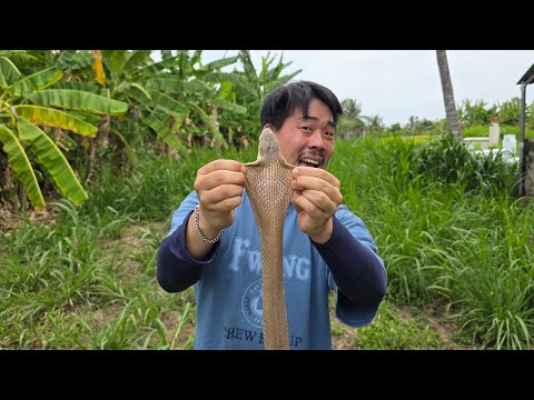 코브라를 잡아서 먹어보자!