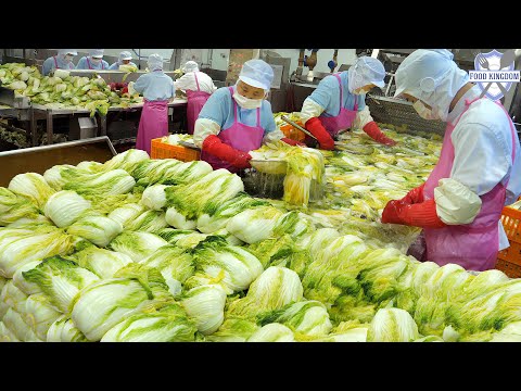 How Korean Kimchi Is Made | Clean, Large-Scale Production of Traditional Kimchi