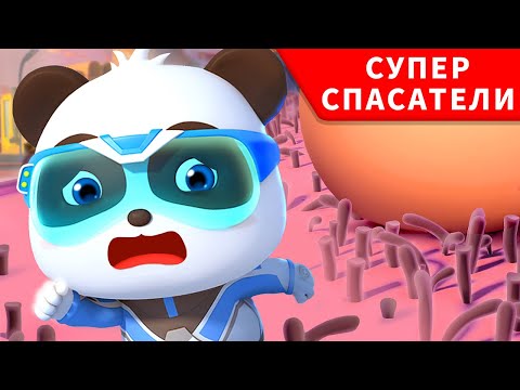 Помочь раненому Геккону | Суперспасатели | Малыш панда | Kids cartoon | BabyBus
