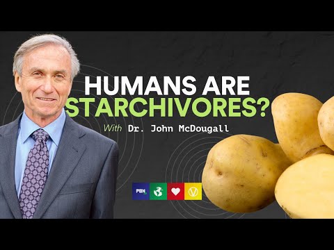 Doctor Reveals MIND-BLOWING Effects Of STARCH-BASED Diet
