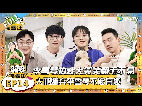 EP14期完整版：大鹏吐槽李雪琴没有意思，李雪琴拍戏现场嚎啕大哭笑翻毛不易！ |《毛雪汪》 FULL #综艺 #毛雪汪 #李雪琴 #毛不易#大鹏 #潘斌龙