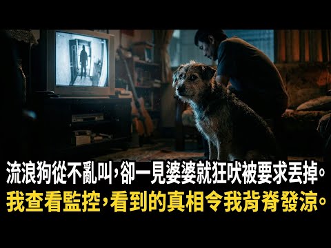 流浪狗養3年從不亂叫，唯獨一見婆婆就狂吠不止，丈夫護母要丟狗，隔天我打開監控看見一幕，真相讓我背脊發涼#深夜淺讀 #為人處世 #生活經驗 #情感故事