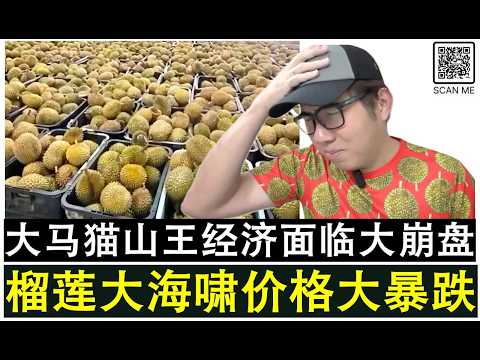【韭菜人生】第714期 大马猫山王榴莲大海啸 产量过剩价格暴跌业者与投资者血本无归