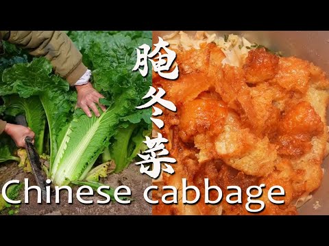 Pickling is a form of preservation, while fermentation imparts a unique umami flavor. Winter vege...