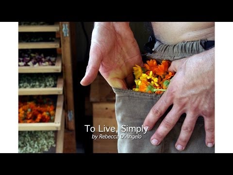 Rebecca D'Angelo - To Live Simply