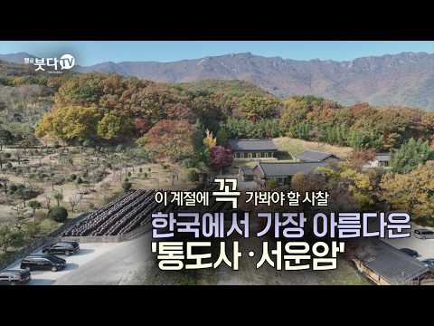 장독대만 5천 개? 한국에서 가장 아름다운 암자 서운암 | 바람, 물, 새소리로 듣는 마음여행 | 이 계절에 꼭 가봐야 할 사찰 '통도사, 서운암'