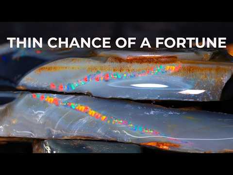 High-Risk Black Opal Cut — Can I Recover My $10,000 Investment?