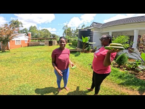 I left the city for the village ‼️ @jaelofthevillage