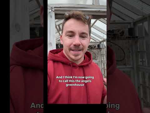 The Angels Greenhouse