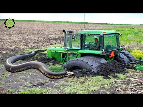 Extreme Tractor Stuck In Mud Compilation | Amazing Tractor Operator Skills #3
