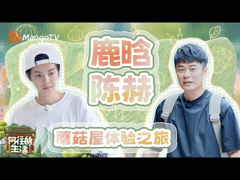 【SPECIAL】鹿晗徒手捞鱼一抓一个准 喜提“鱼王”称号 鹿晗陈赫剪螺蛳悟出人生哲理 |《向往的生活》Back To Field  | MangoTV