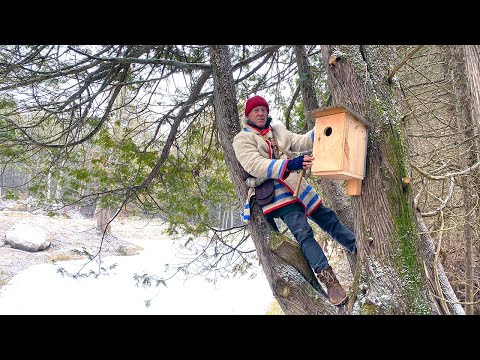 How to Make Bird Nesting Boxes| 18TH CENTURY PIONEER | BIRCH BARK CANOE | CANADIAN WILDERNESS