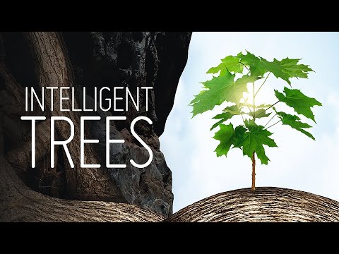 Intelligent Trees | 🌳 Nature | Full Documentary