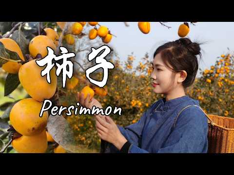 When Persimmons Ripen, Winter Feels a Little Warmer【海曲姑娘 Haiqu Girl】#chinesefood #persimmon