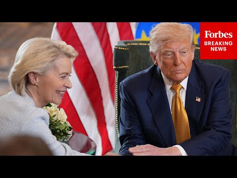 This Is 'Somewhat Of A Strong Concession No One Is Talking About' EU Got In Trade Deal: Hakimian