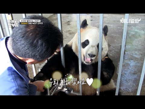 Kang Bao and Ai Bao When They Were Still Awks