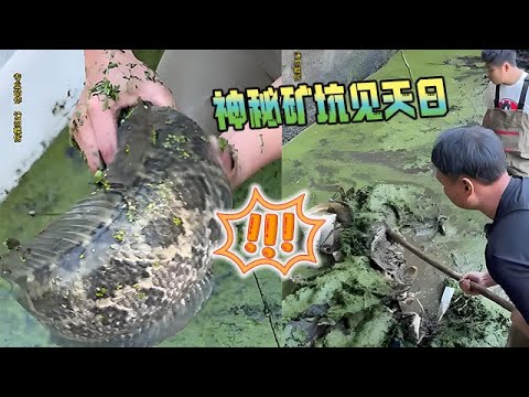 神秘礦坑見天日，大表哥竟然挖到和人壹樣大的東西#大表哥 #fishing #護外