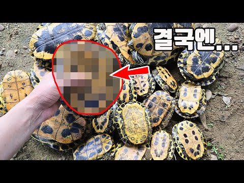 Finally, the alien hybrids we were worried about appeared... and then something absurd happened...