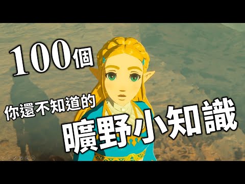 【薩爾達傳說 曠野之息】100個你還不知道的曠野小知識!! 一起看看這遊戲的細節設定