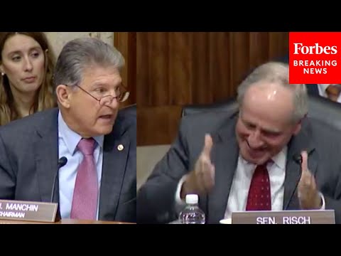 'We Got The Record Where She Lied Under Oath': Senators Spar Over Tracy Stone-Manning's Testimony