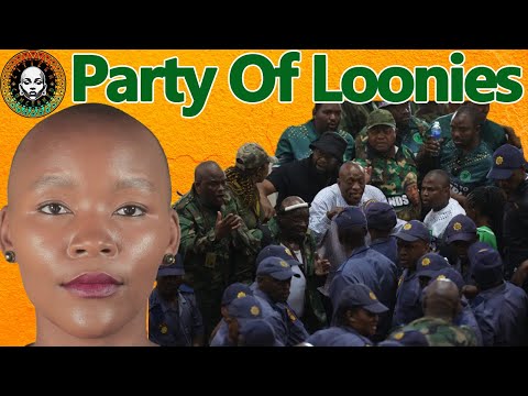 CHAOS ! The True Face of the MK Party?