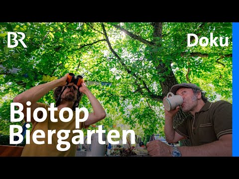 Biotop Biergarten: Wohlfühloase für Mensch und Vögel | freizeit | Doku | BR