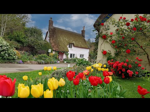 Blossoms, Cottages & Country Lanes | A Slice of Rural Life in the UK Countryside
