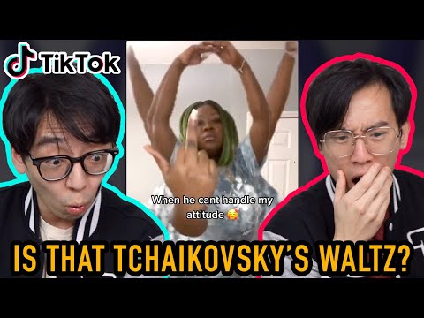 10 Funniest TikToks with Classical Music Sounds