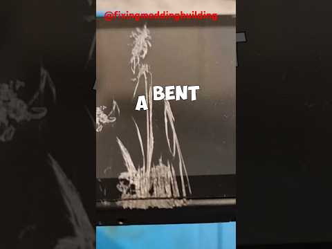 Can I fix a bent Nintendo switch #gaming #nintendo #nintendoswitch