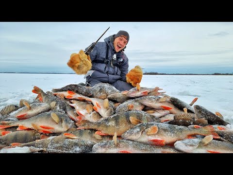 ЭТО СОН?! ОКУНИ СОШЛИ С УМА! ЖОР И ДРЕВНЯЯ УДОЧКА! Рыбалка у охотника часть 2