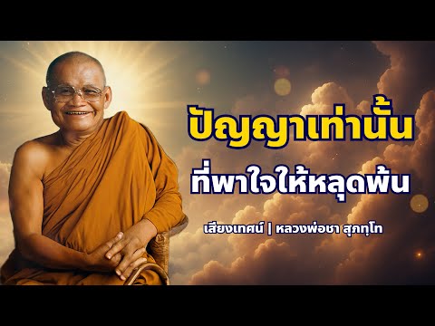 เส้นทางแห่งปัญญา...นำใจสู่ความพ้นทุกข์ | หลวงพ่อชา สุภัทโท
