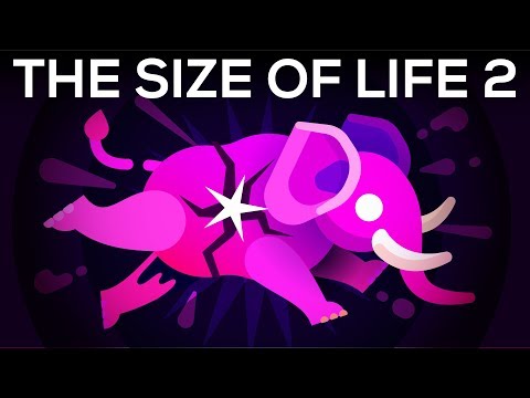 How to Make an Elephant Explode – The Size of Life 2