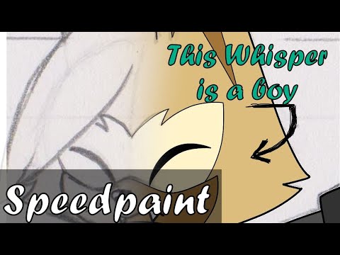 I genderbend Some Sonic Characters