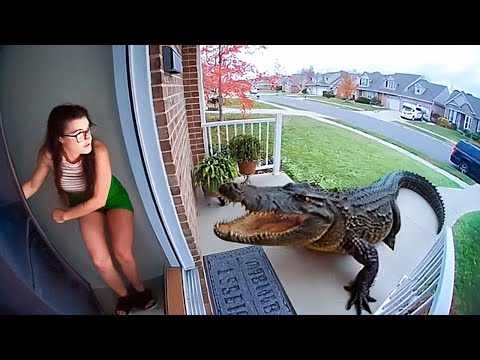 That Really Happened in People's Backyards