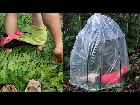 Brave Girl Builds a Temporary Shelter and Spends a Night Alone in the Forest