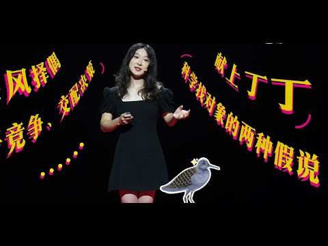 【一席】王雲珂：擇偶與偏見 ~在性研究領域，我們自動忽略了那些不渴望交配的大多數。