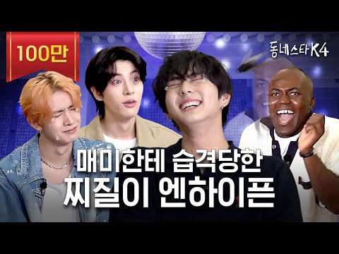 ?? : 아 망했다😩 엔하이픈 여러 번 실수하고 감 (ft. 정수리, 페이커, 방구)ㅣ동네스타K4 EP.22