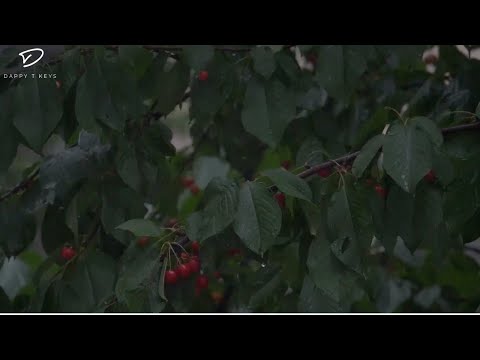 8 Hour Christian Piano with Nature Sounds & Scriptures | Prayer & Meditation Music