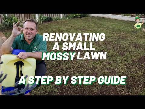 Renovating a small lawn (full of moss down one side)