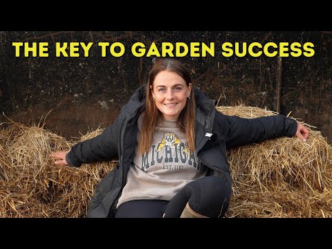 Mulch Matters! The Easy Way to Healthier Plants & Fewer Weeds