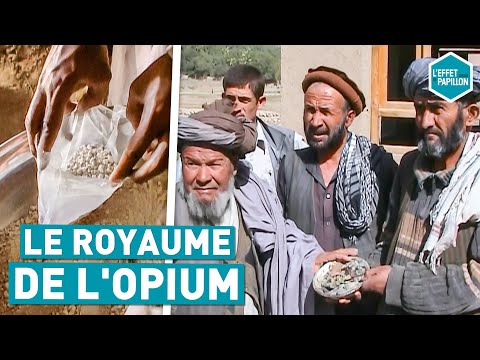 LE ROYAUME DE L'OPIUM (Afghanistan) - L'Effet Papillon