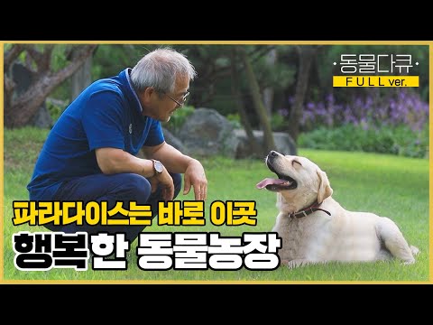 [풀버전] 가정집에 60여 마리의 동물이 산다!? 치열한 도시의 삶을 내려놓고 시골 마을로 온 노부부 | 동물극장 단짝 EP31 | KBS 220917 방송