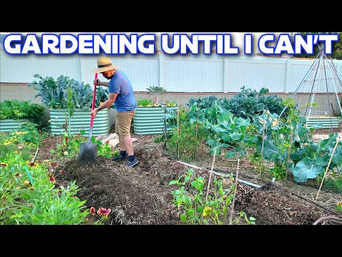 I Couldn't Sleep....So I Gardened