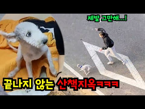 George is walking and George is walking lol