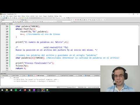 Archivos en C - Ejercicio 3: Lectura de palabras en un archivo
