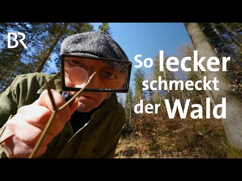 Knospen essen: Schmidt Max und das große Sprießen | freizeit | Doku | BR