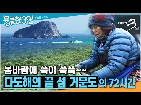 [다큐3일★] 봄바람 휘날리며~♬ 거센 바람과 거친 땅을 이겨낸 놀라운 생명력의 봄 전령사 '해풍쑥'이 자라는 섬🥬 ‘거문도'의 72시간 | KBS 190310 방송
