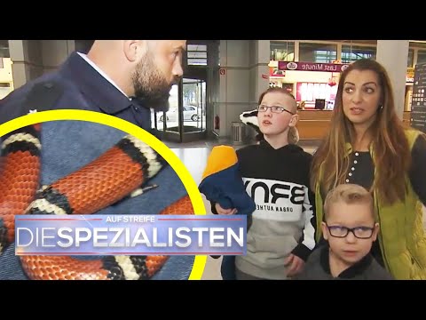 Giftige Schlange im Gepäck! Panik am Flughafen | Die Spezialisten | SAT.1